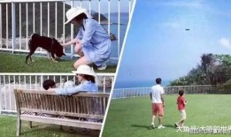 我的休闲时光最新爆料,独家爆料带你探秘幕后故事